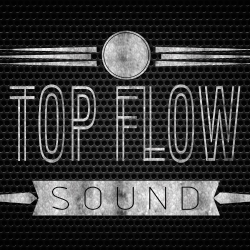 Студия звукозаписи Top Flow Sound