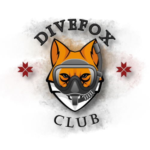 Дайвинг в Саранске ( DIVEFOX CLUB )