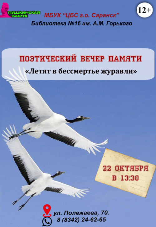 Летят в бессмертье журавли
