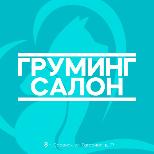 Груминг салон