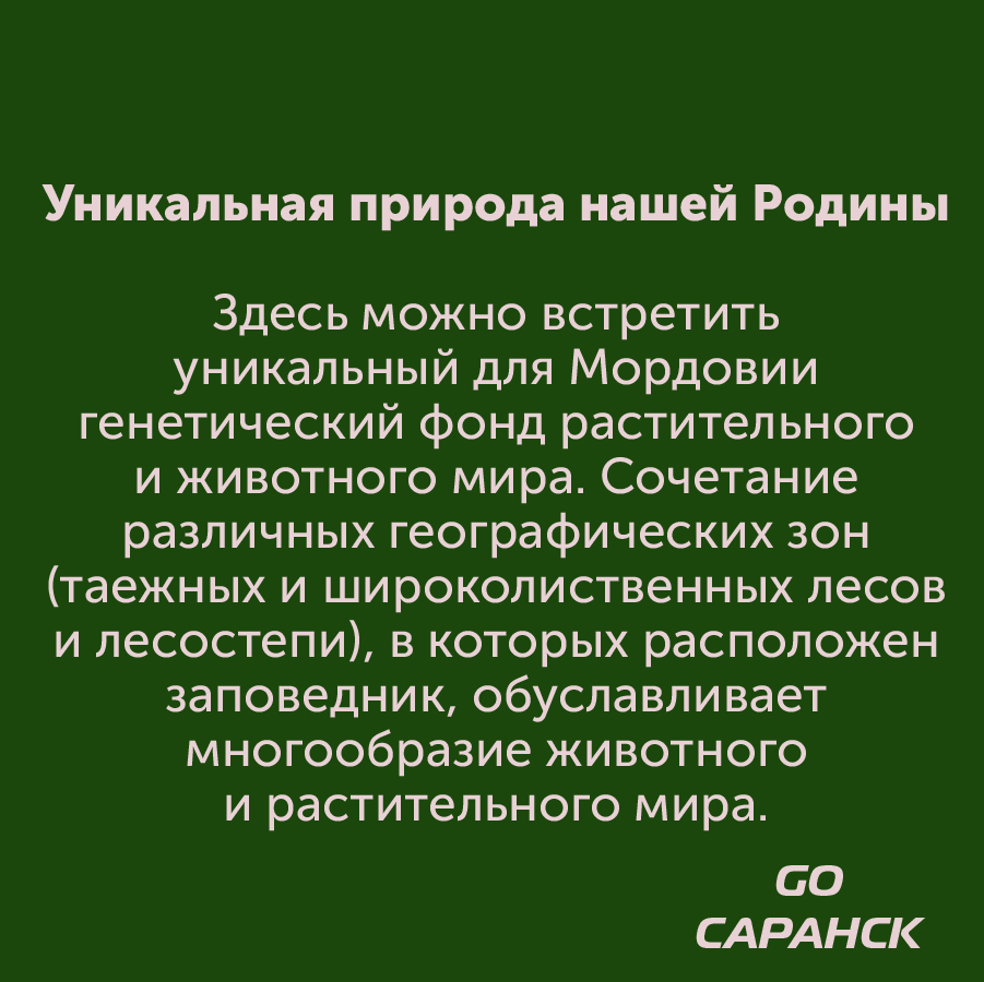 Монтажная область 2_10-100-9.jpg