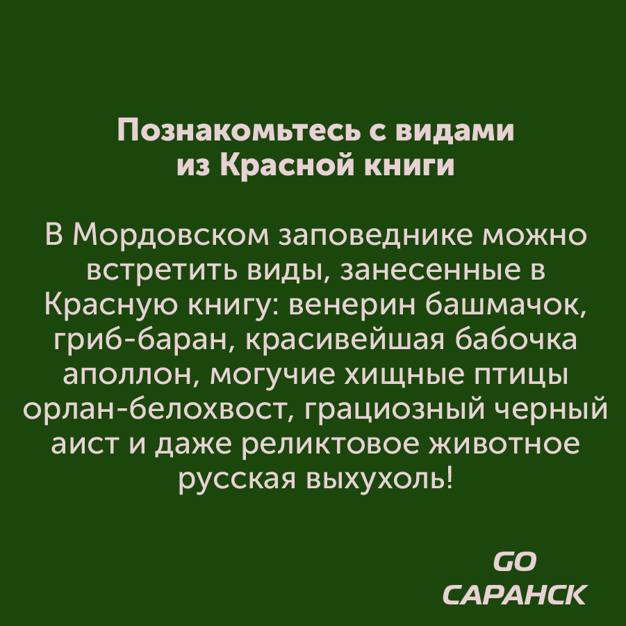 Монтажная область 2_11-100-8.jpg