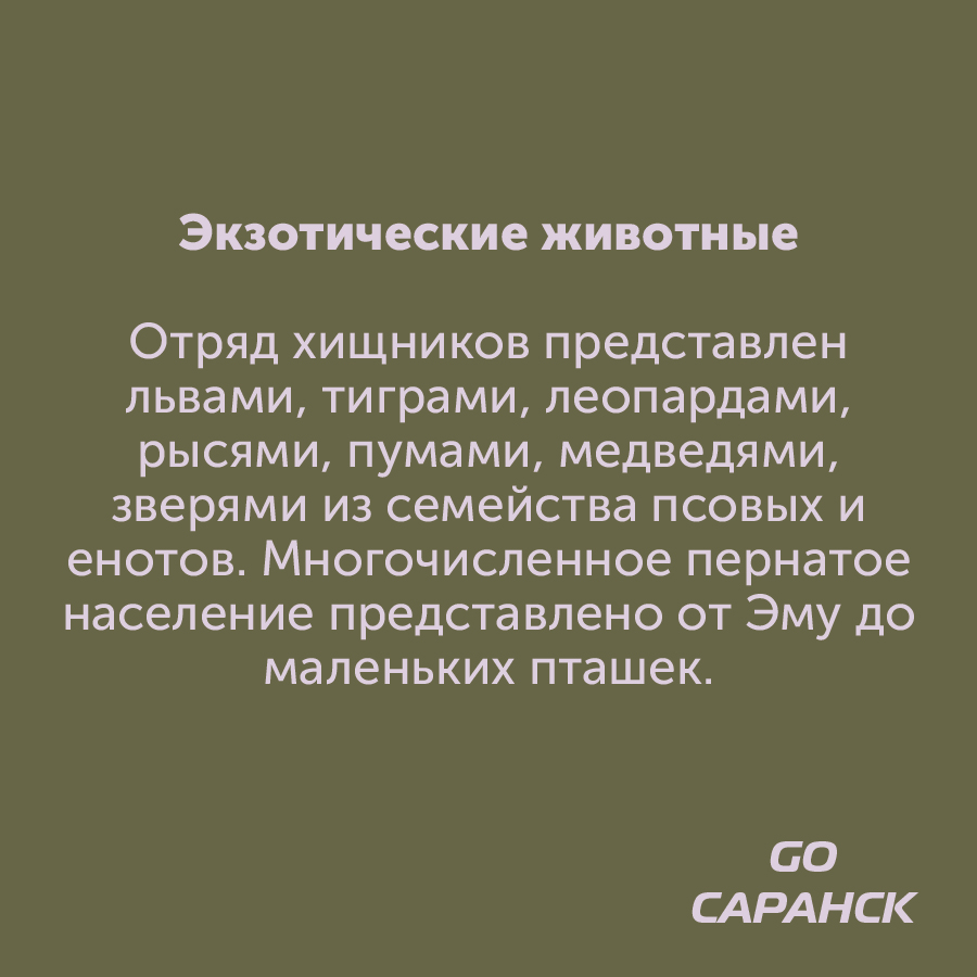 Монтажная область 2_114-100-3.jpg