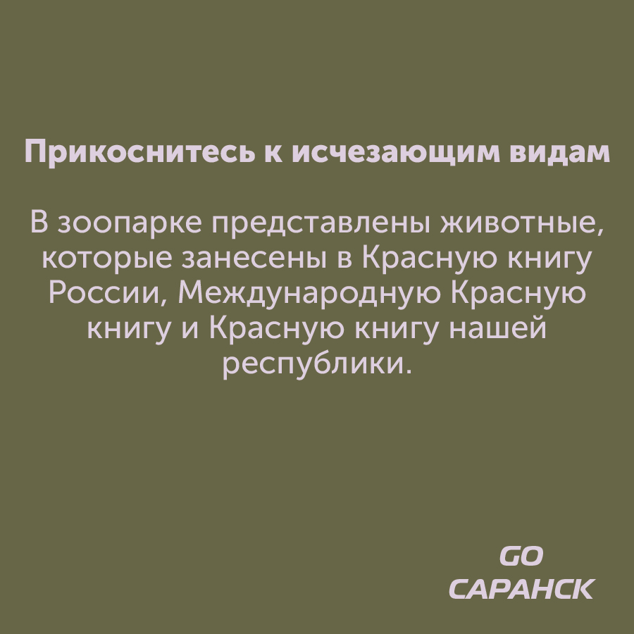 Монтажная область 2_115-100-3.jpg