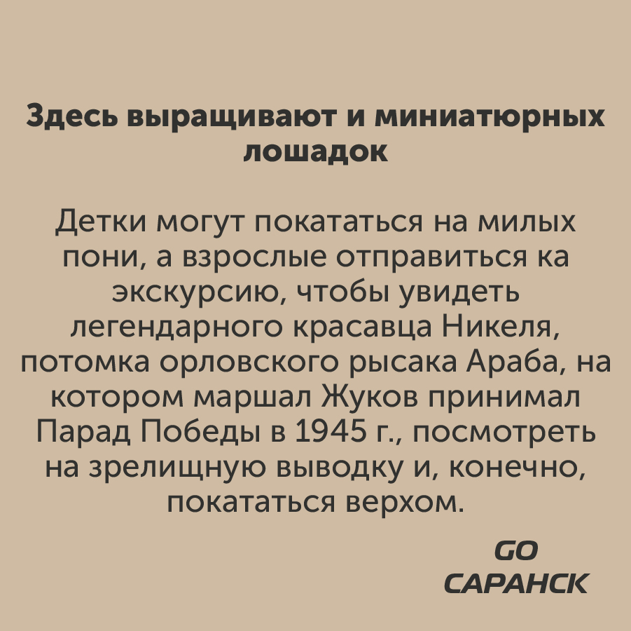 Монтажная область 2_126-100-4.jpg