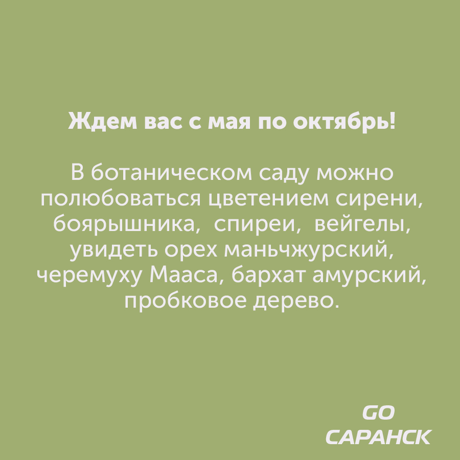 Монтажная область 2_131-100-6.jpg