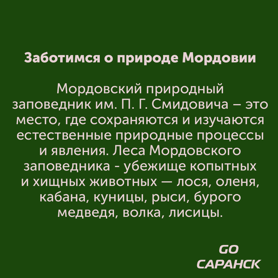 Монтажная область 2_9-100-8.jpg