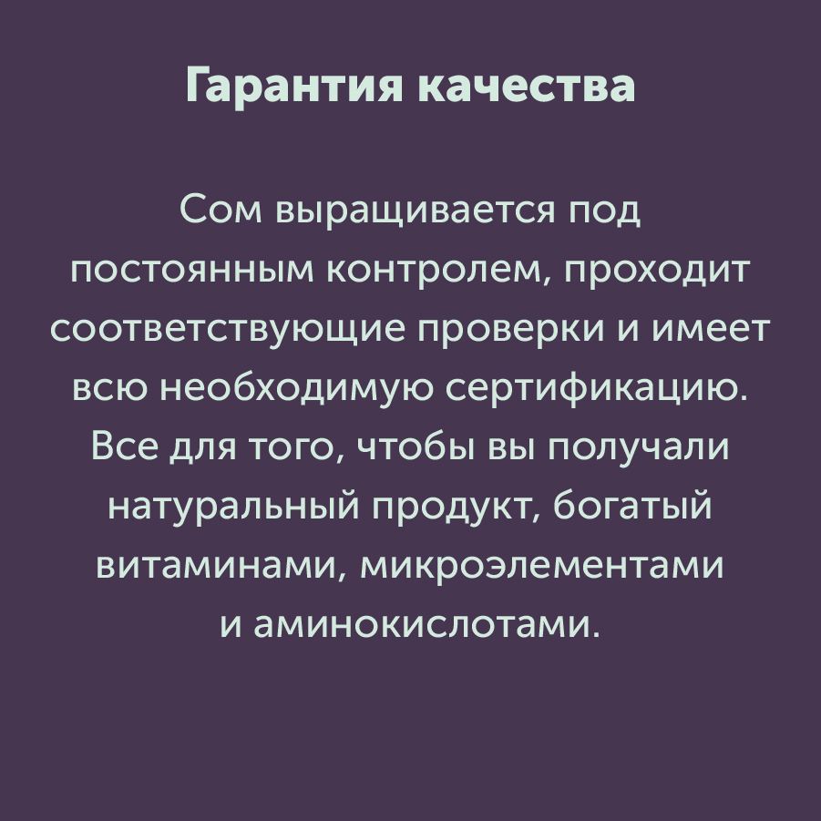 Монтажная область 3 копия 5_53-100.jpg